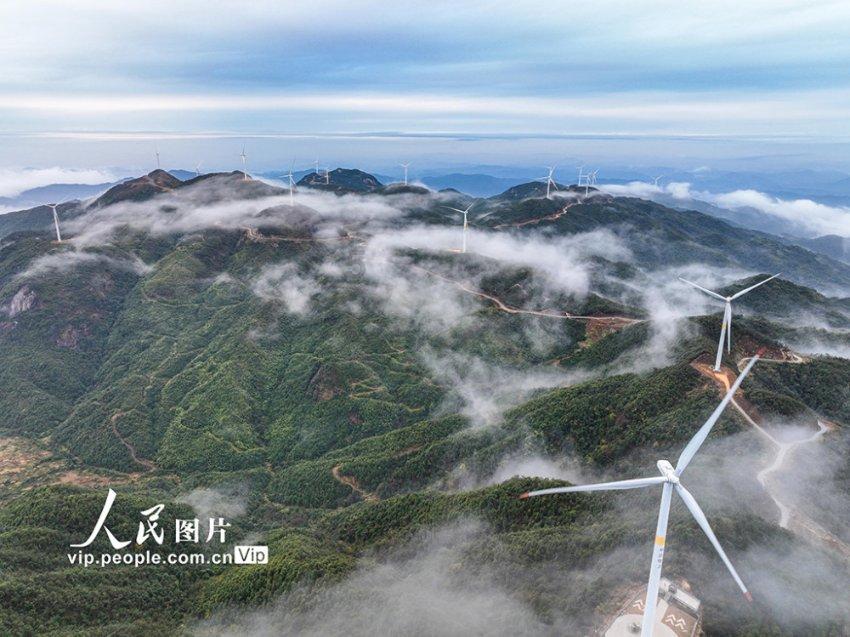 多问多答,尽在